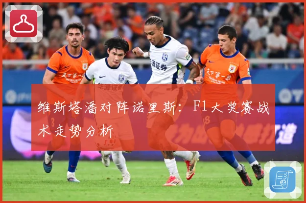 维斯塔潘对阵诺里斯：F1大奖赛战术走势分析